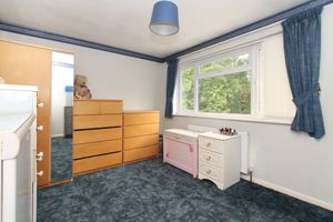 Photo 5- click for photo gallery